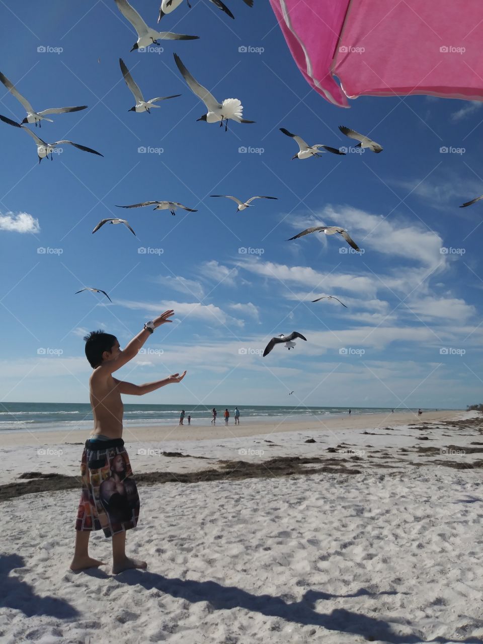 kid and seagulls