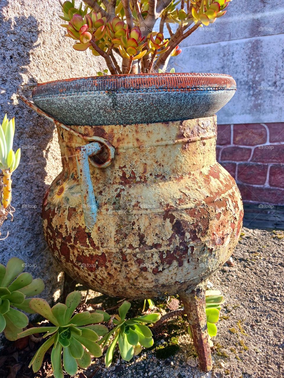 Charme rústico do tempo refletido na ferrugem e no musgo.