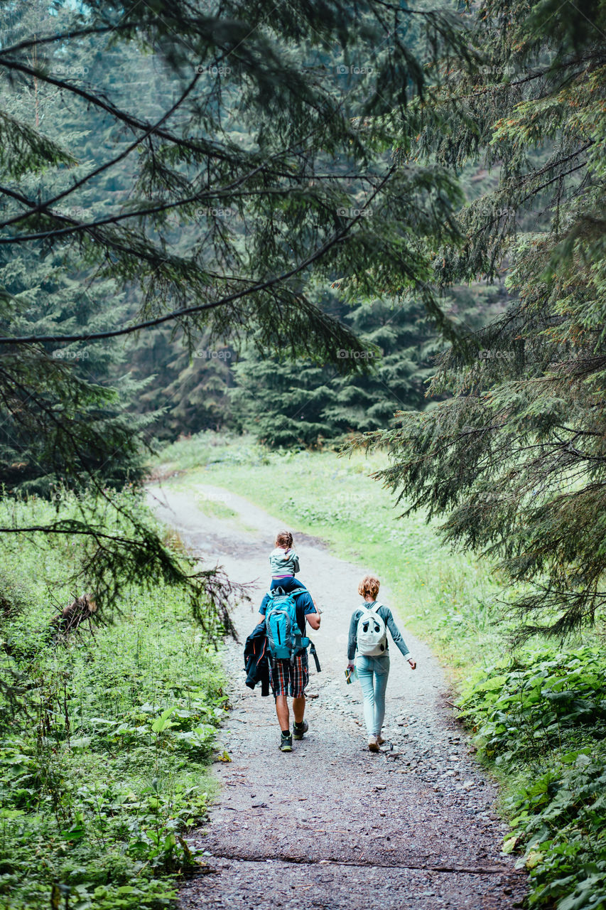 Family walking through the forest. Man with backpack, in company with young woman, carrying a little girl on his shoulders, walking along forest route on foggy day