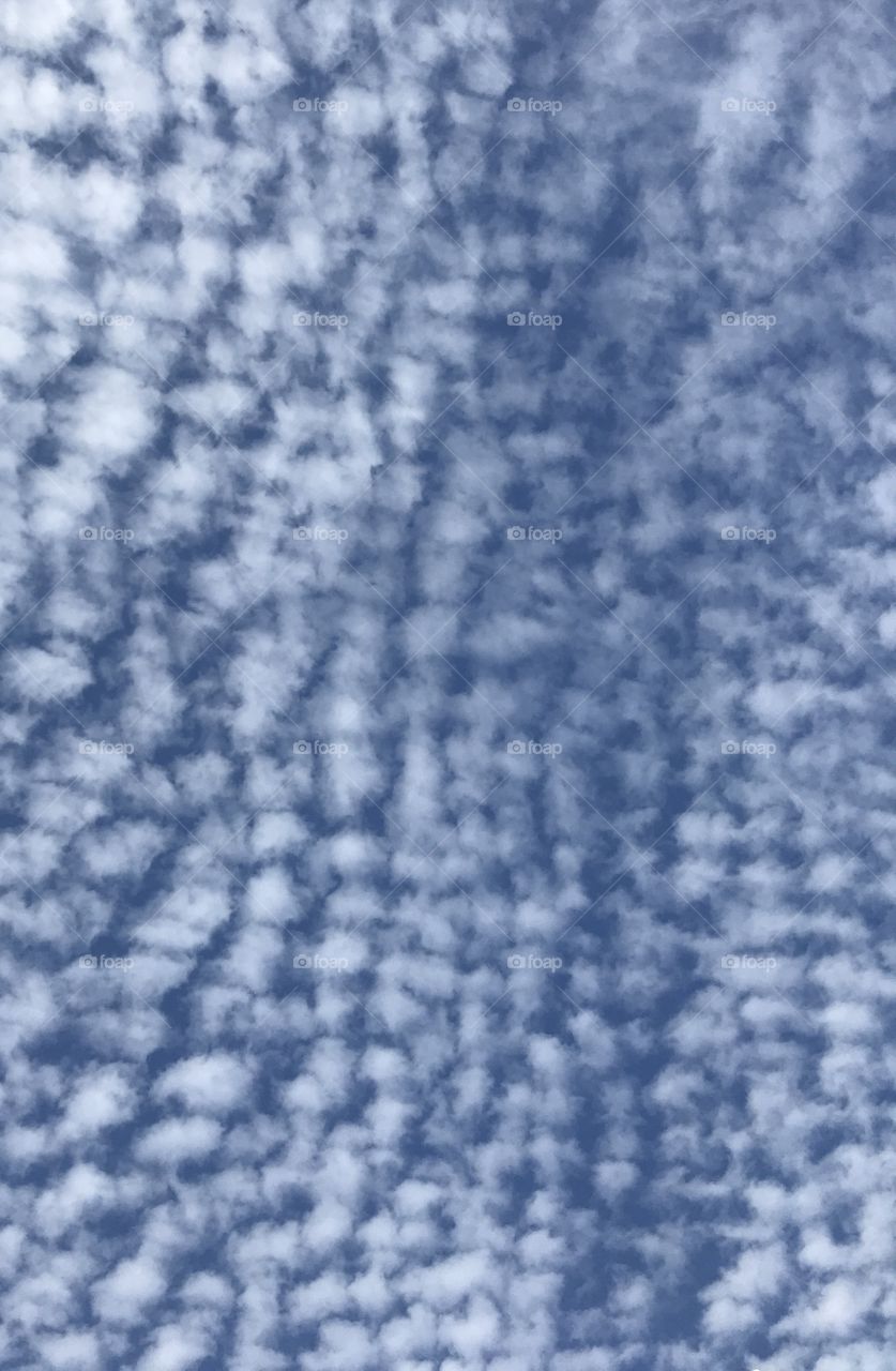 blue sky with little clouds