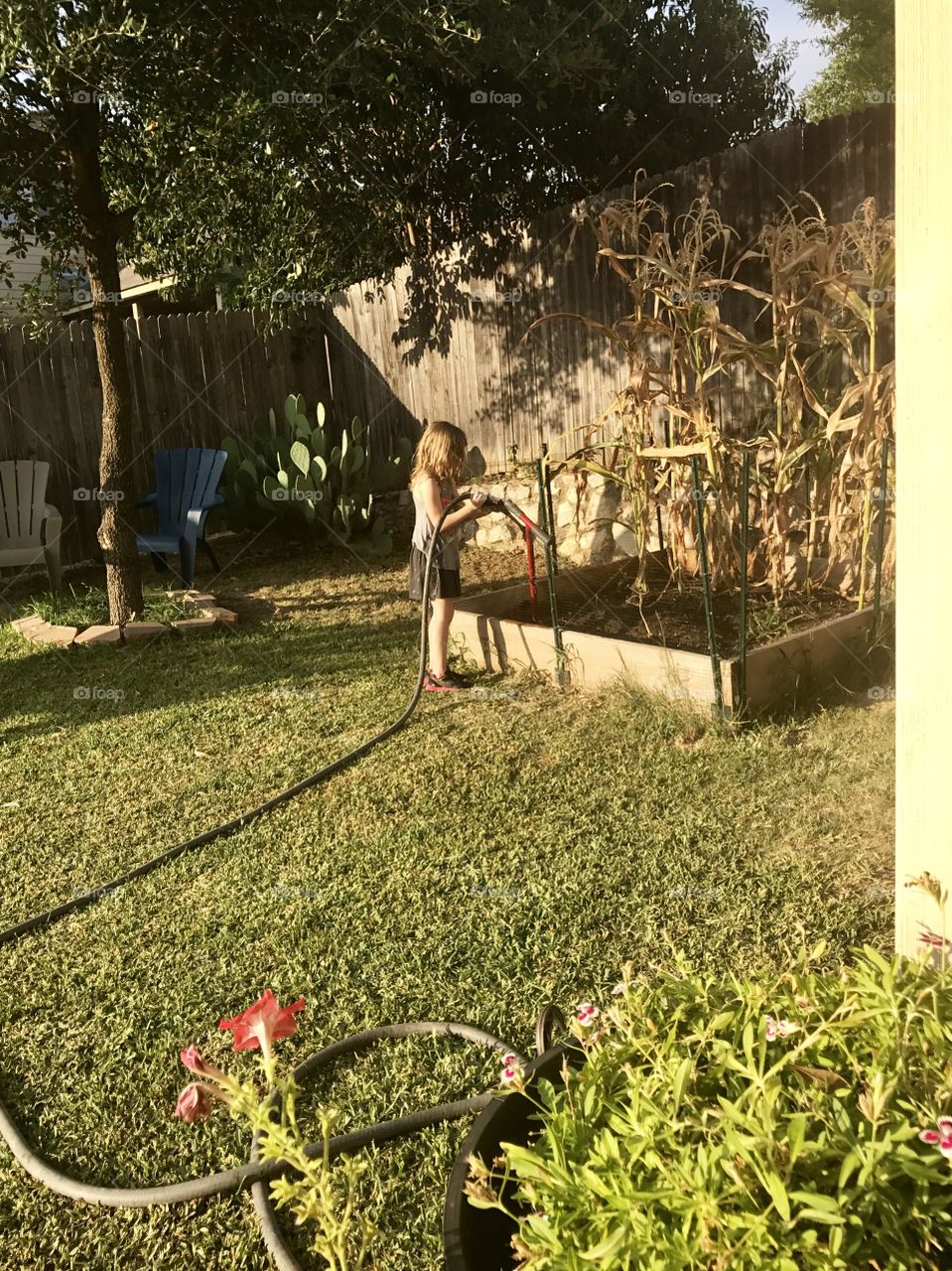 My daughter watering herself and the grass 
