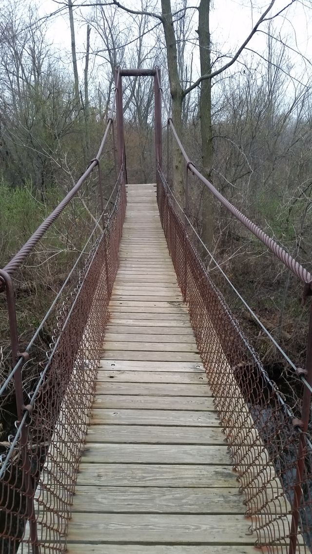 fence