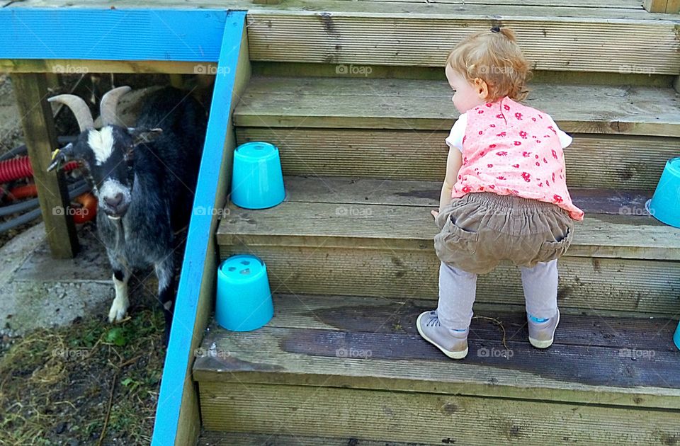 Baby girl playing with a goat