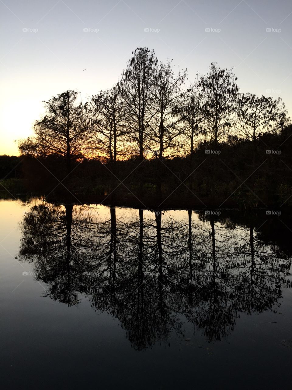 This was taken at Green Cay Wetlands during sunrise.