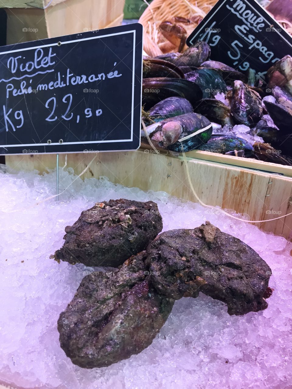 Oysters at a food market in Paris.