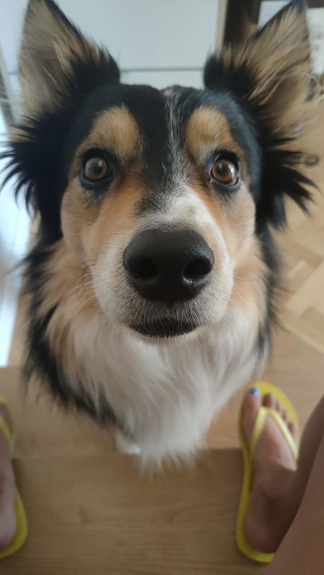 una mirada special