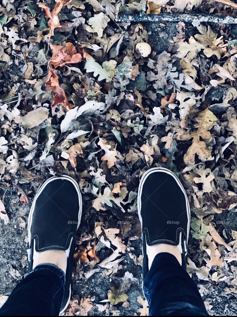 Girl with black vans standing and surrounded by fall leaves on the ground , USA, America 