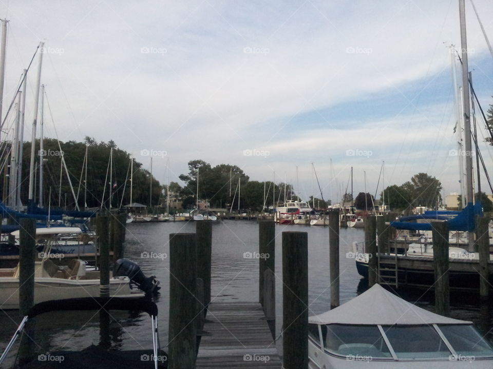 dock in the harbor. harbor