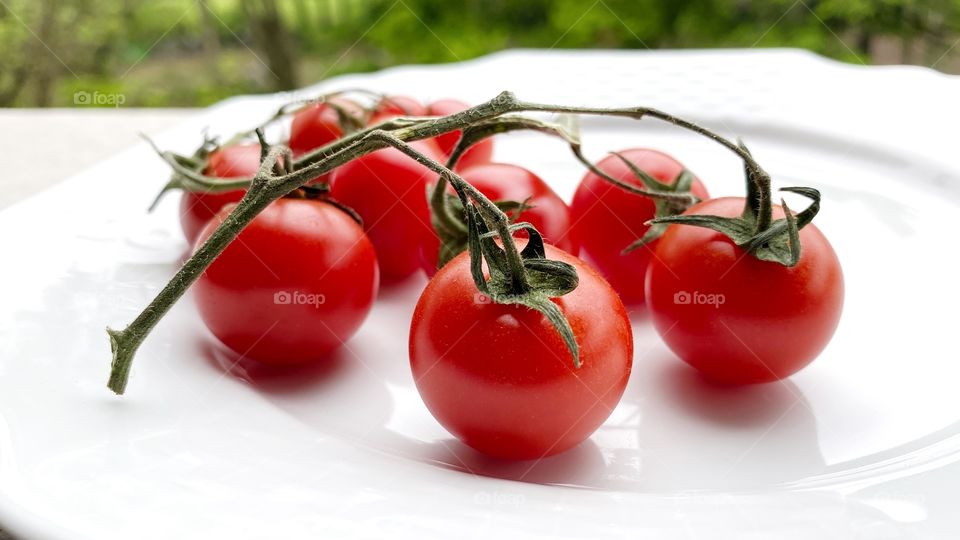 Red tomatoes 