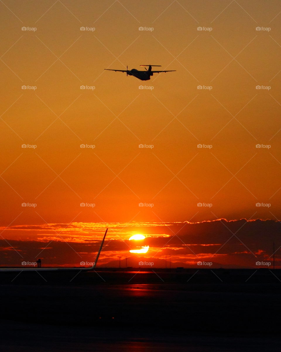 Fly over the sunset 
