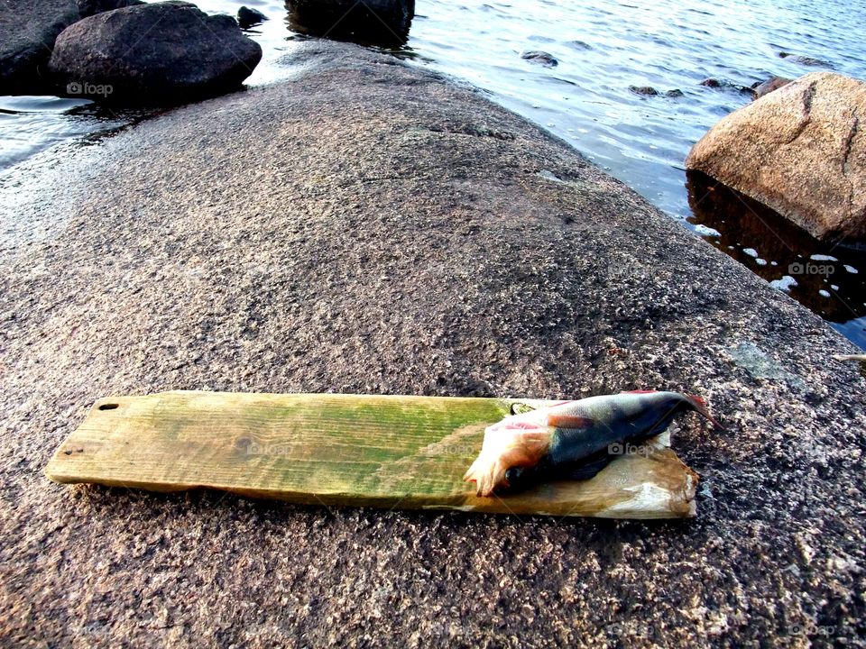 Nice catch. Fishing a beautiful summer evening