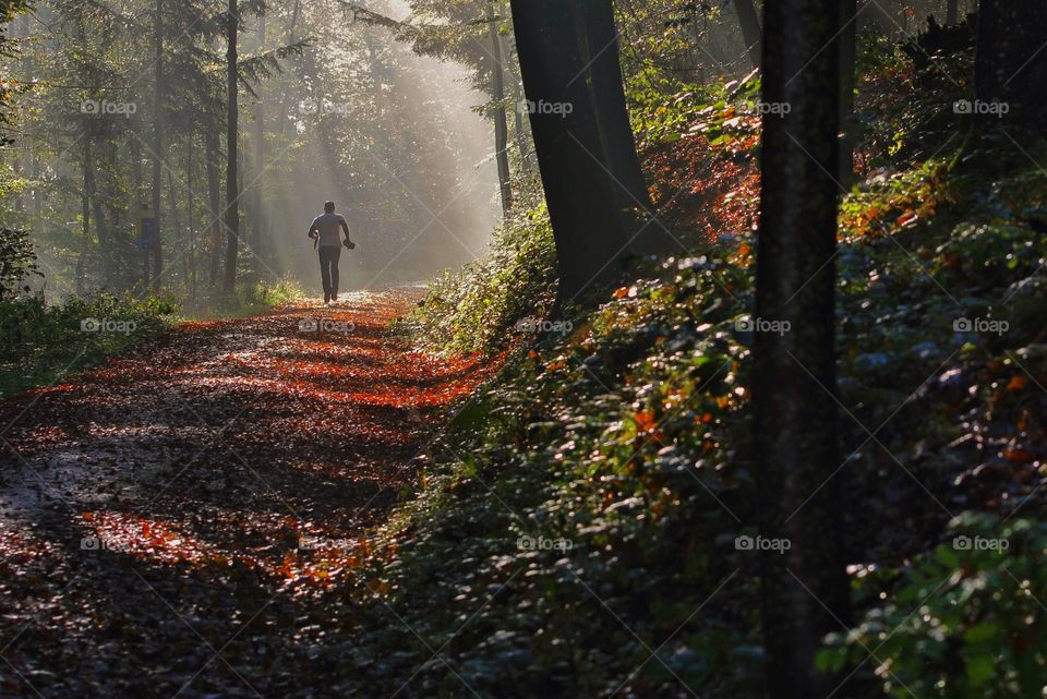 Rear view of a person running on trail during autumn