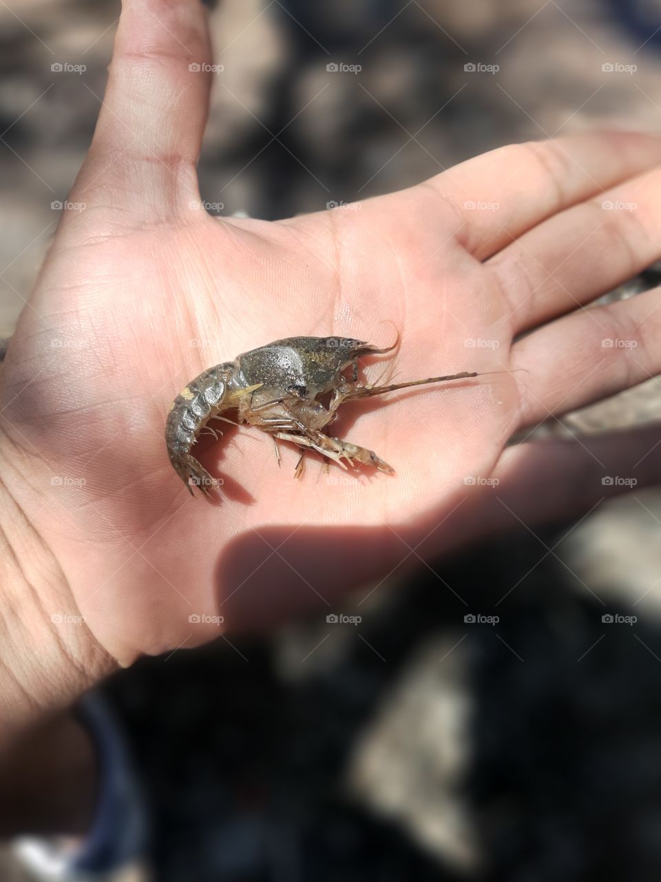 A nice day at river...