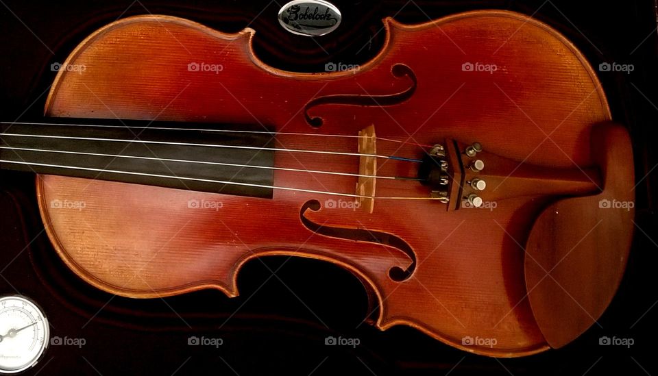 Violin with reddish varnish