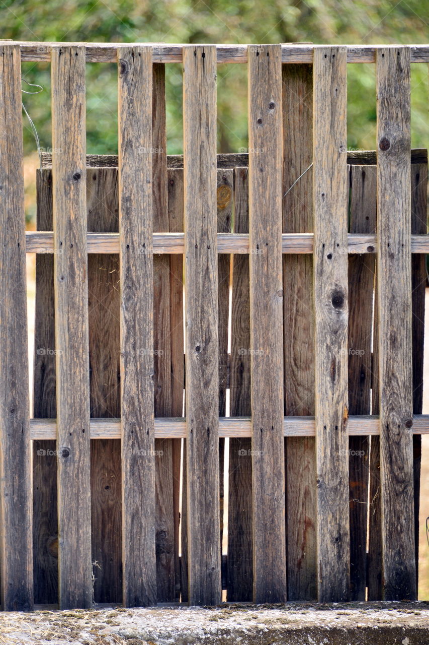 Close-up of wooden gate