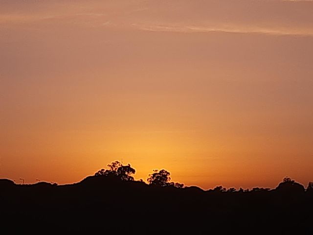 The magic touch of nature!