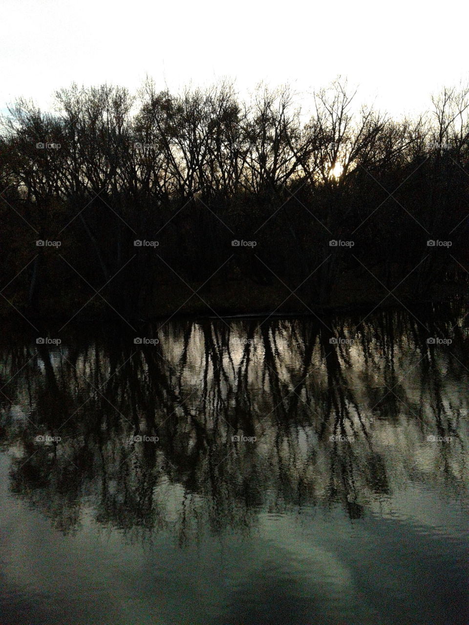 Water, Tree, Reflection, Landscape, Lake