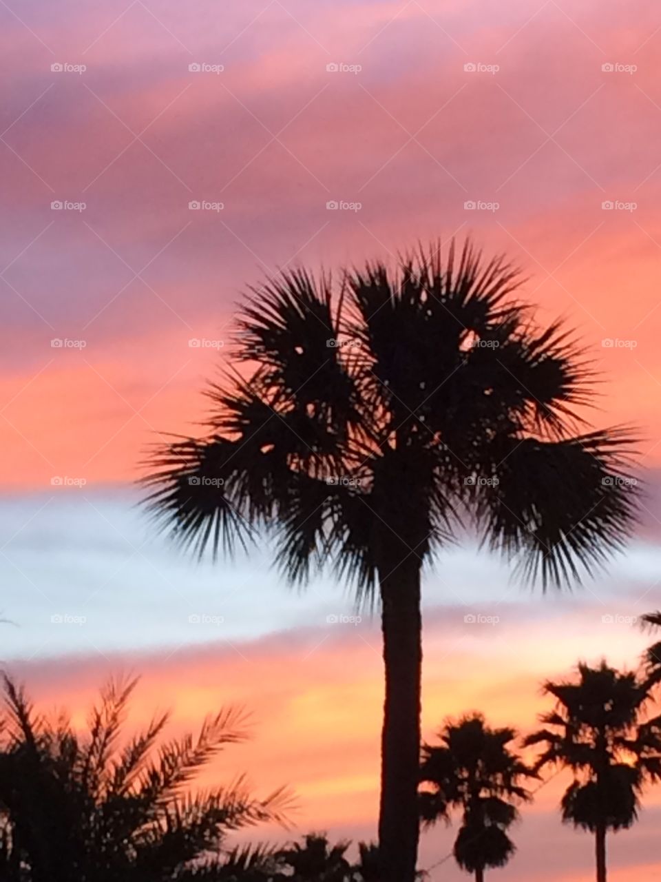 Florida sunrise
