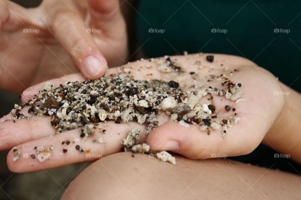 Picking seashells from sand in hand