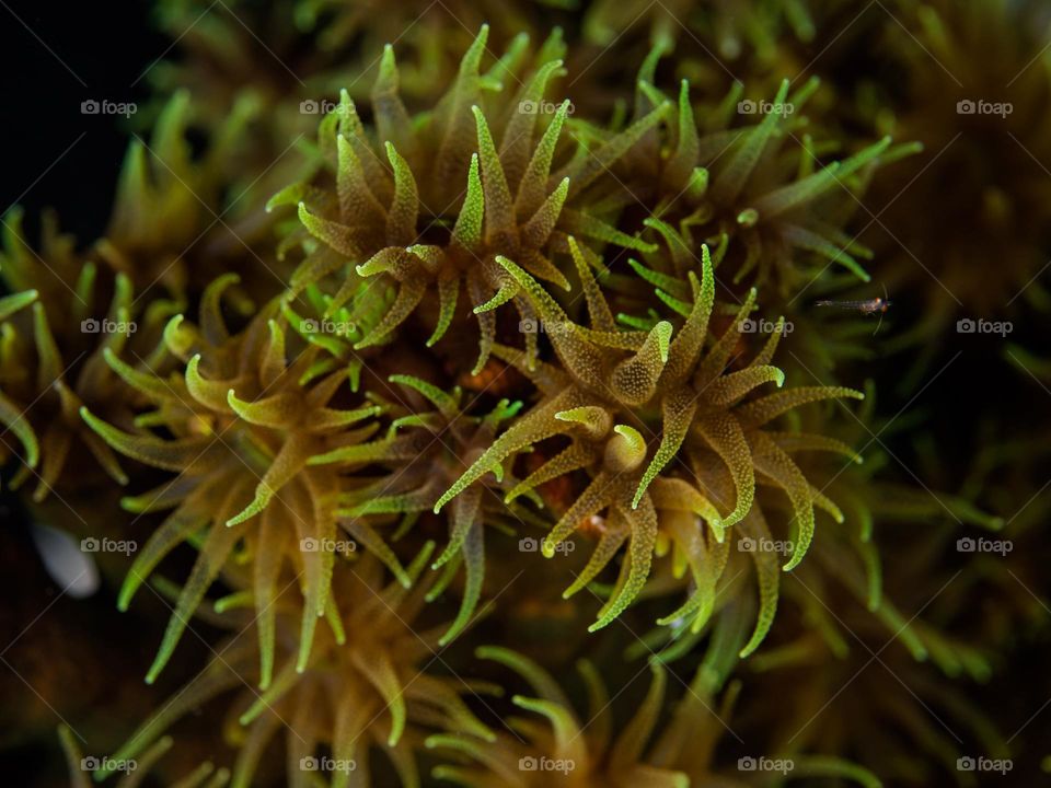 Photography 'originalcontent'