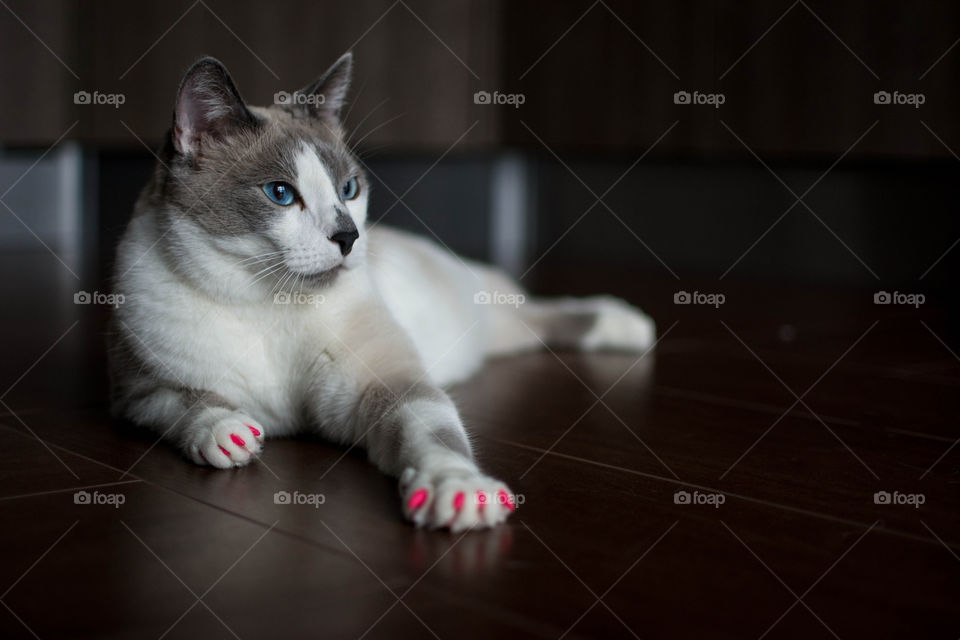 Tima with a red nails