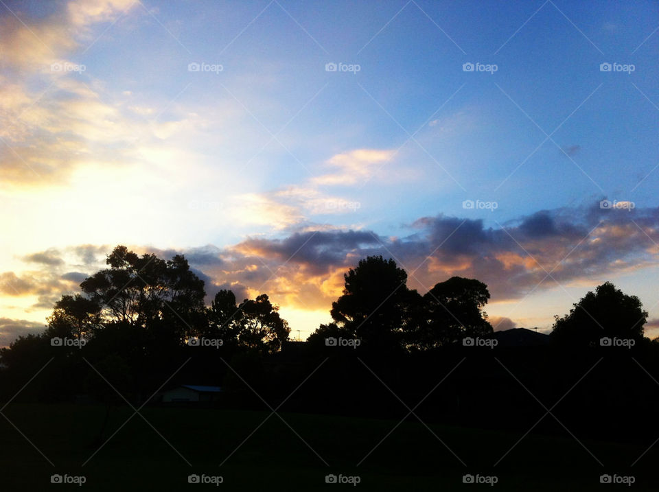 Sunset, Dawn, Landscape, Sun, Tree