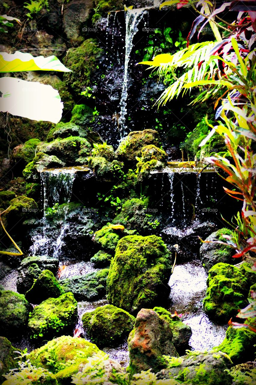 Waterfall flowing in forest