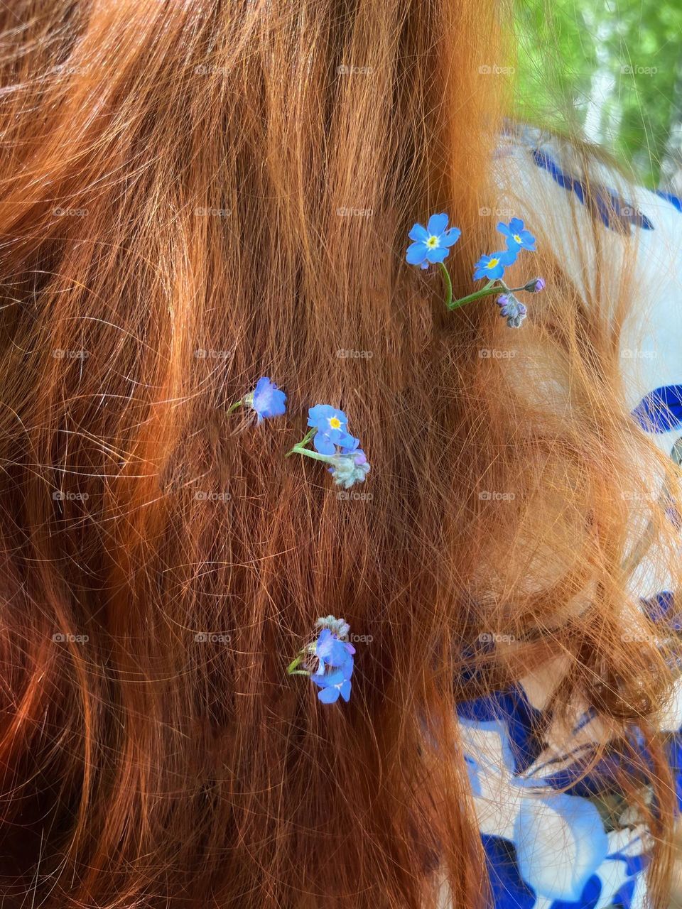 Forget-me-nots in my hair