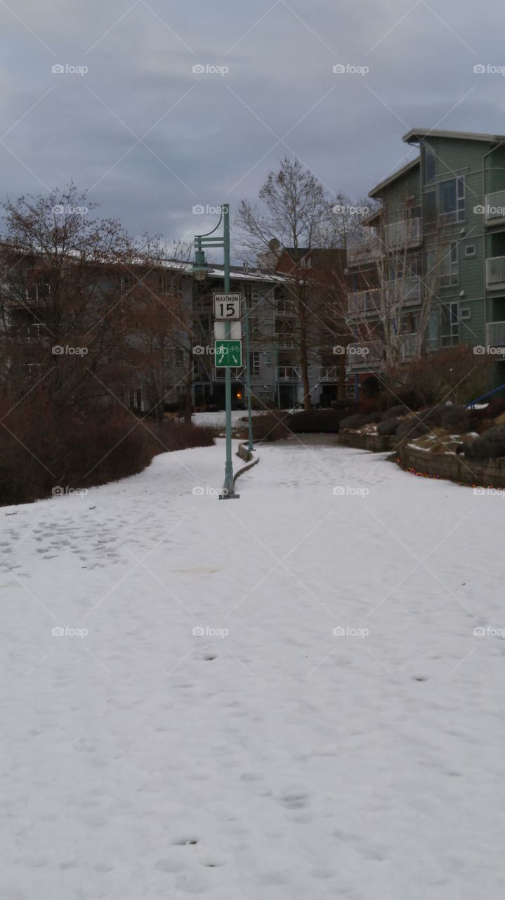 Winter snow pathway