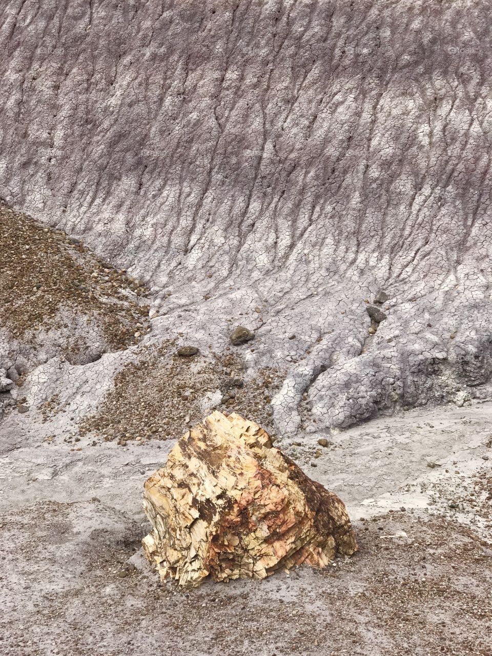 A petrified log at the base of a purple and white sandstone mountain in the Petrified Forest National Park 