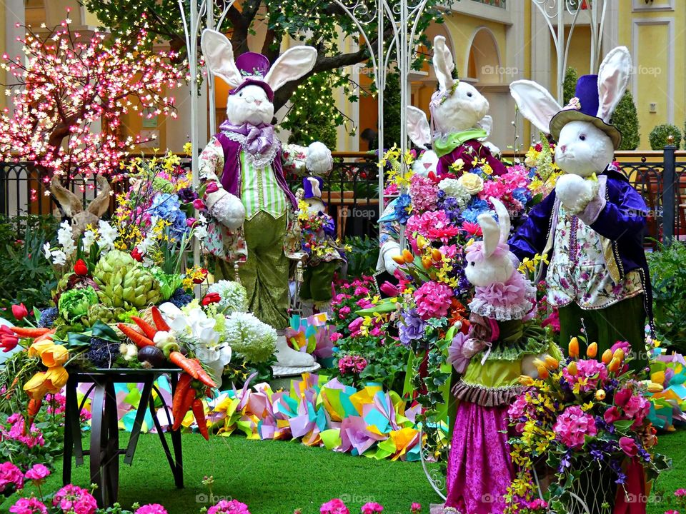 This is spring - HAPPY EASTER - Easter rabbits surrounded by colorful flowers. The exact origins of this mythical mammal are unclear, but rabbits, known to be prolific procreators, are an ancient symbol of fertility.