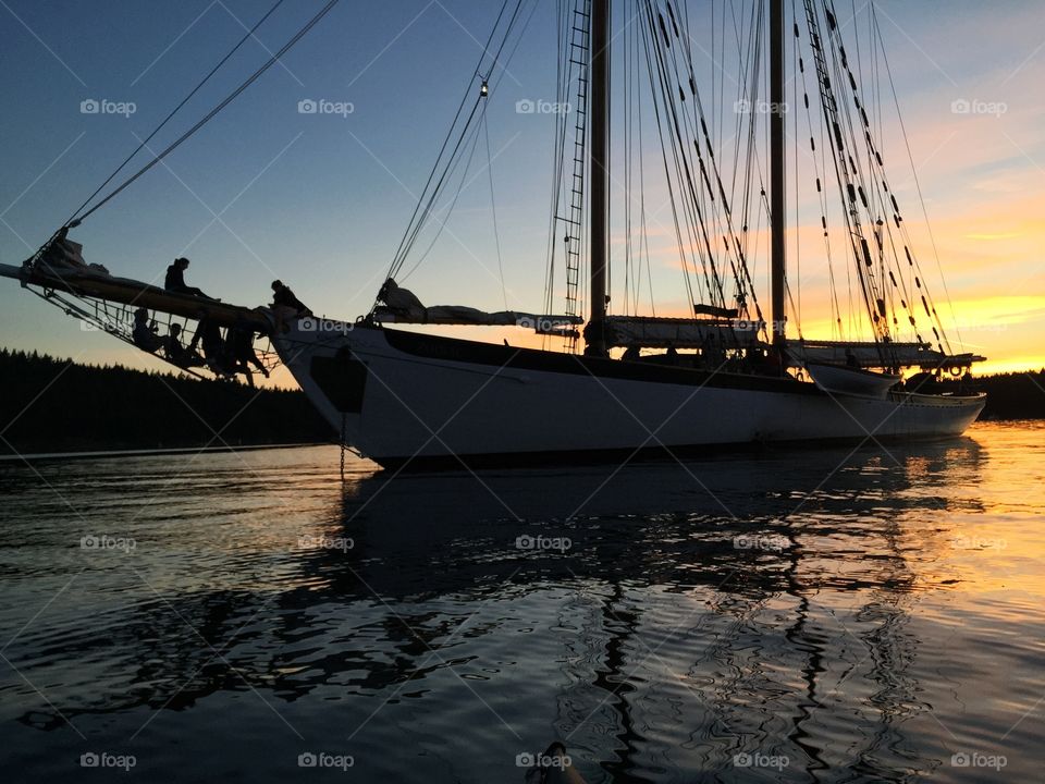 Sunset Sails on the Zodiac