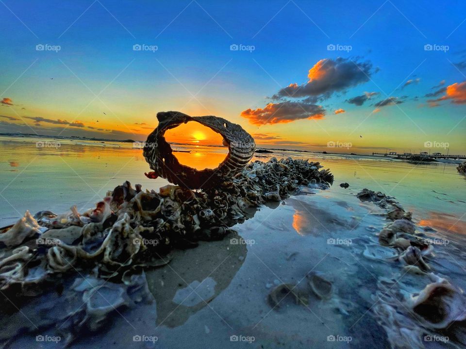 Waiting on the sunset