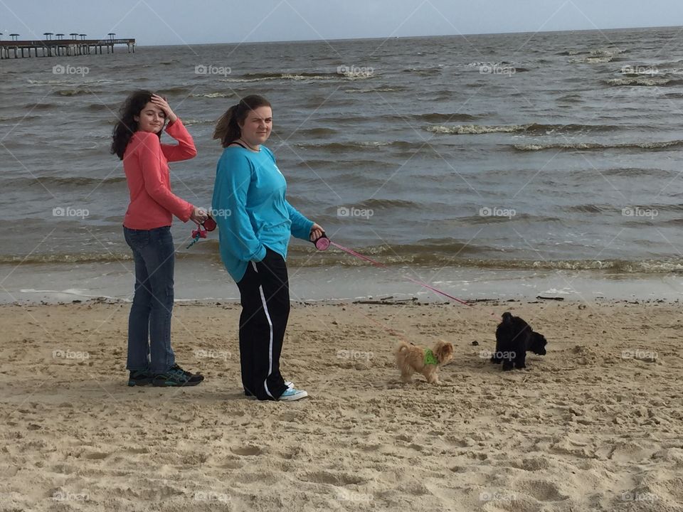 Walking dogs along the beach