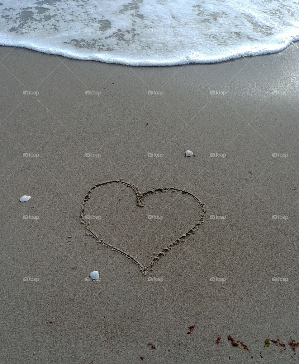 Herz love Hearts romantic romantisch sand Strand Sommer Muscheln Liebe