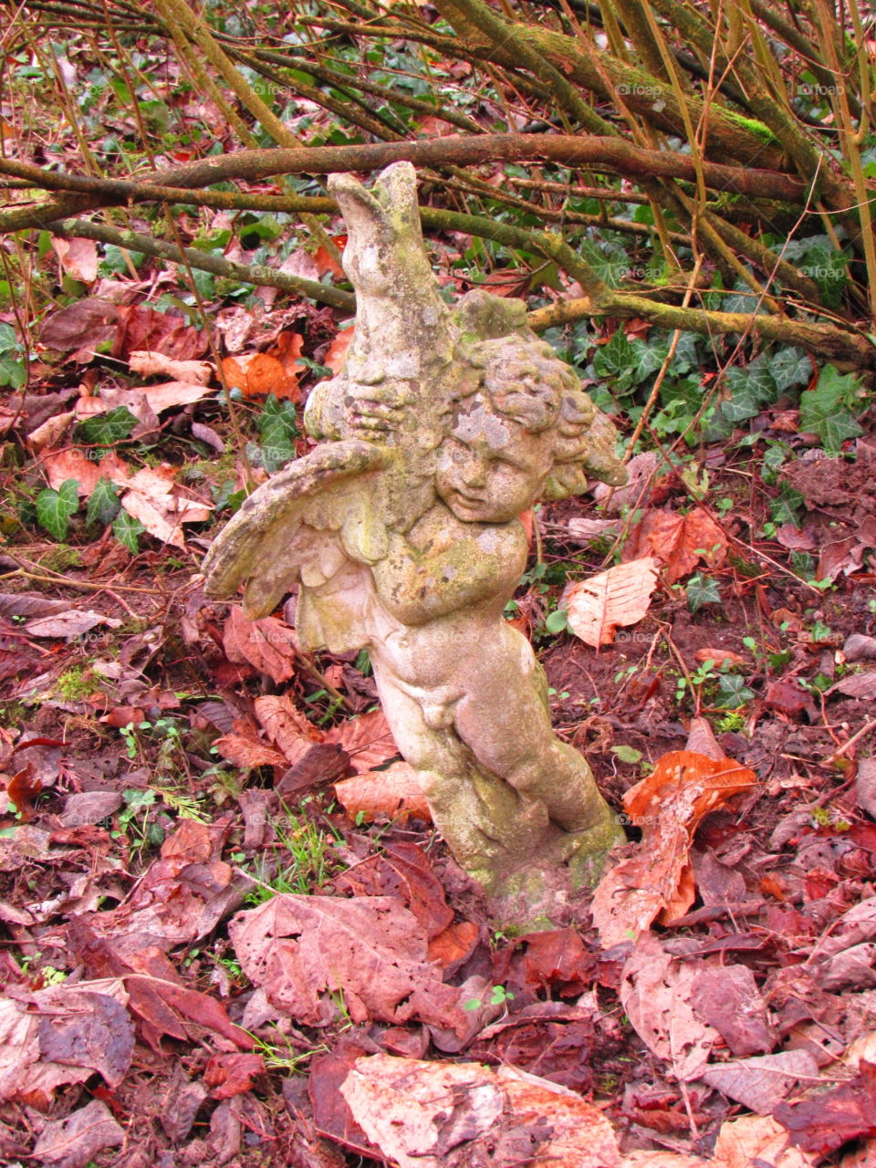 fishing cherub