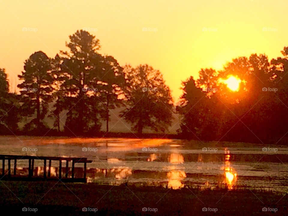 Golden sunrise 