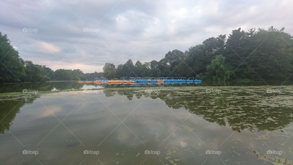 Prospect Park NYC