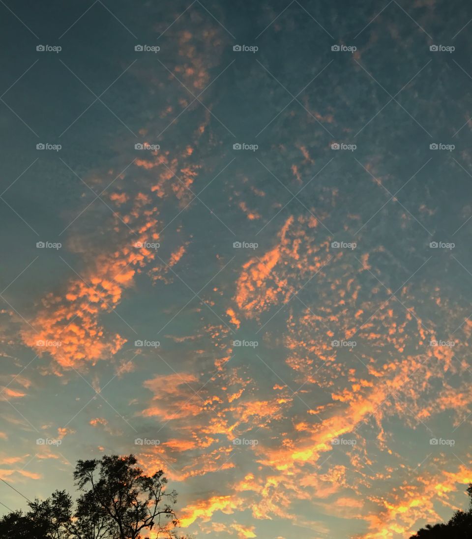 Sunset clouds with tree