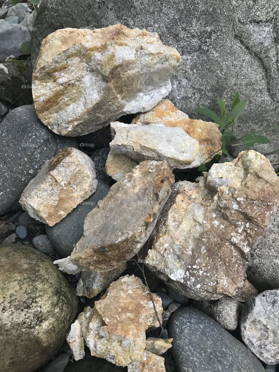 Rocks