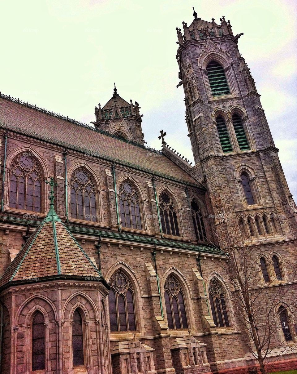 Cathedral Basilica of the Sacred Heart, Newark, New Jersey 