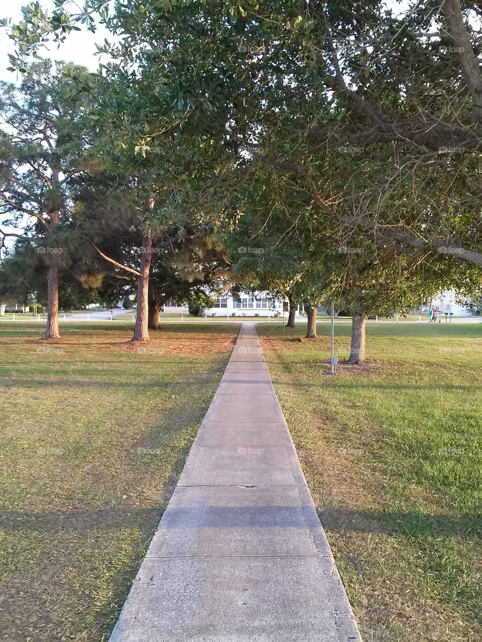 walkway to wherever 