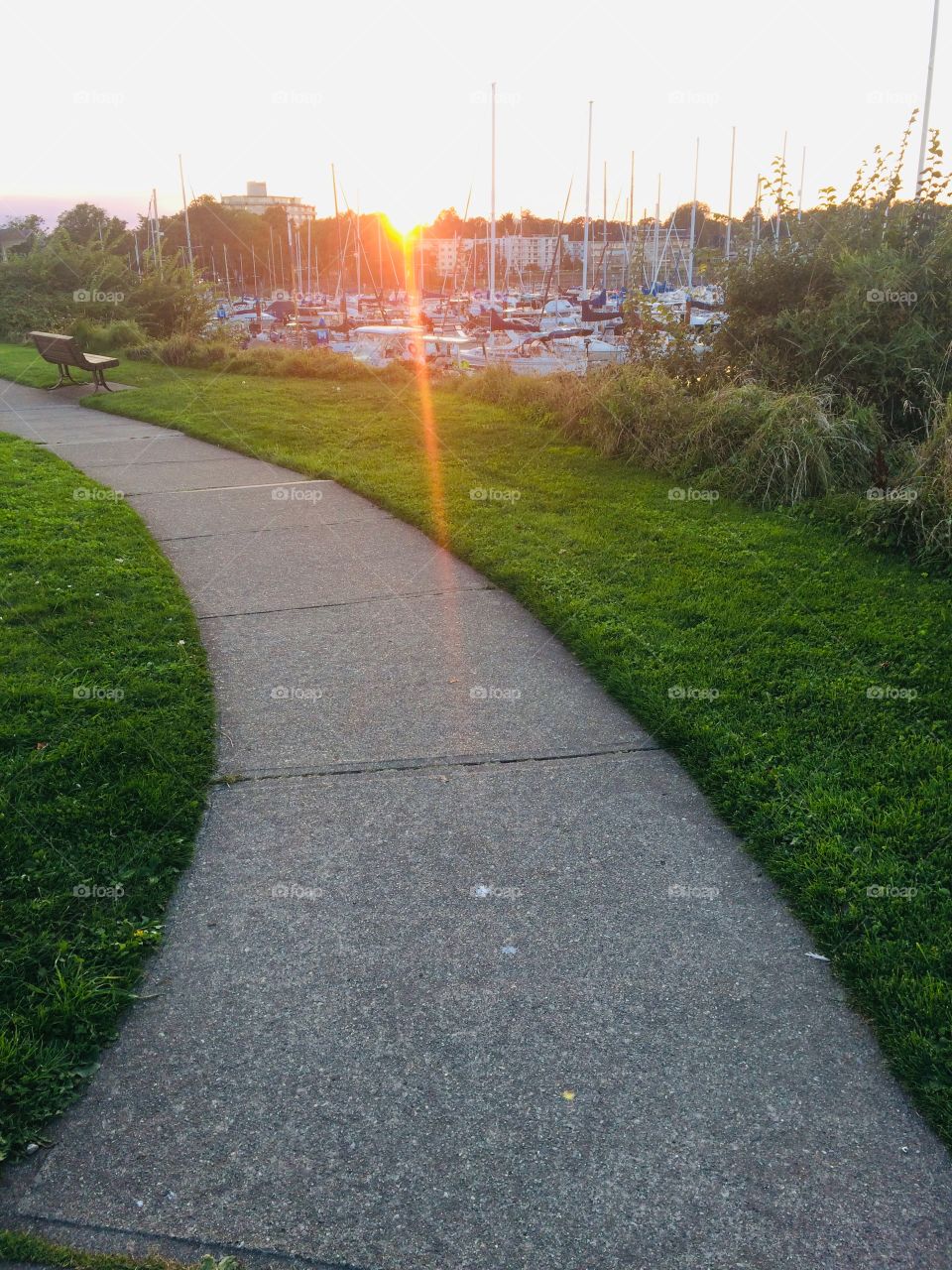 Beautiful day at the beach