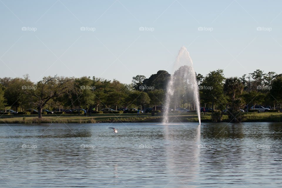 Fountain 