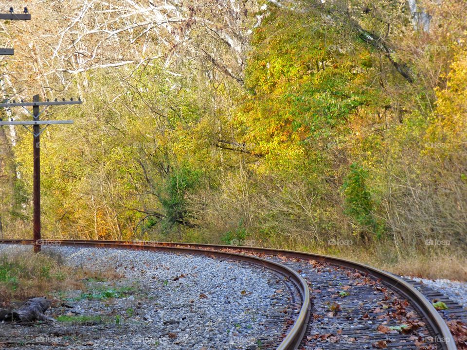 Train tracks in Indiana. 