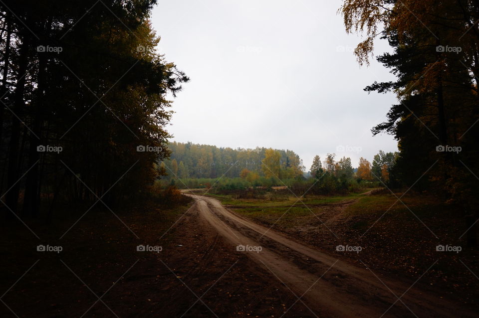 View of dirt road in autumn