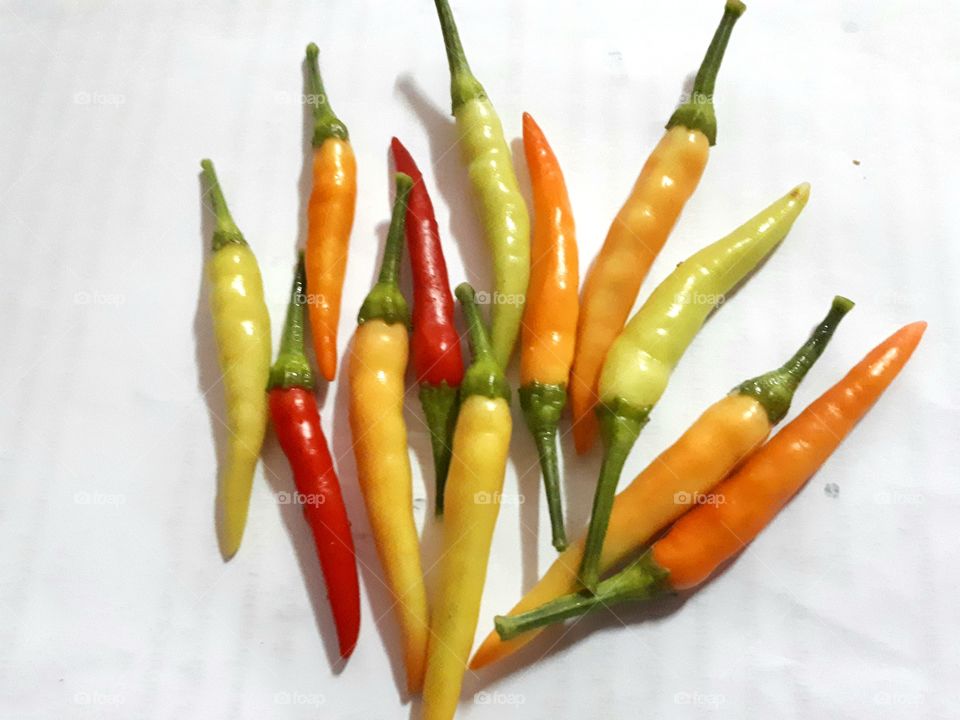 Chillies isolated on white background