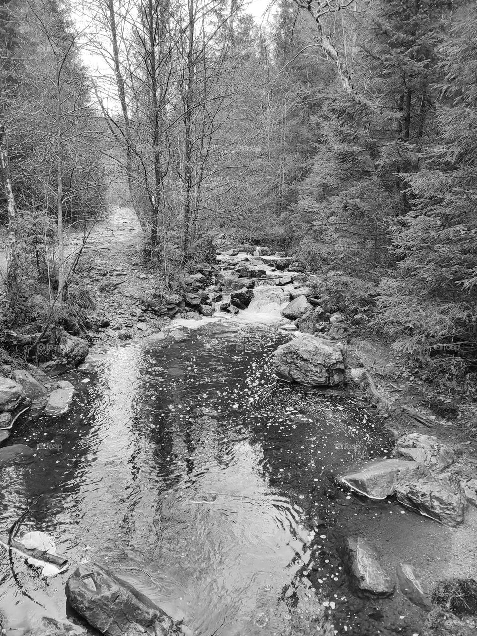 Walk in the woods, Bayehon waterfall, Belgian Ardennes