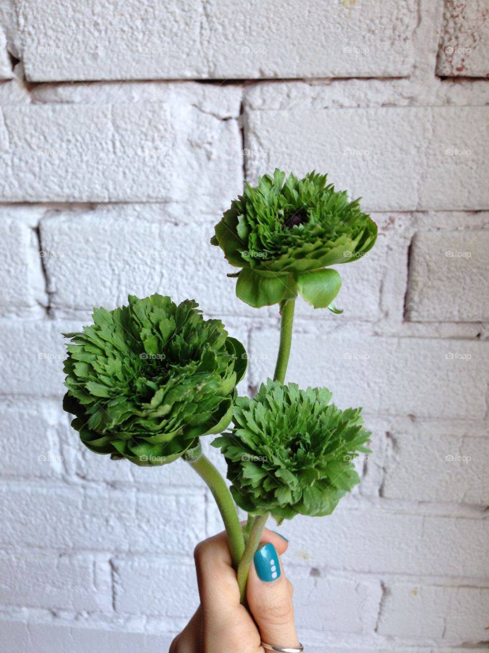 Green flowers in hand 