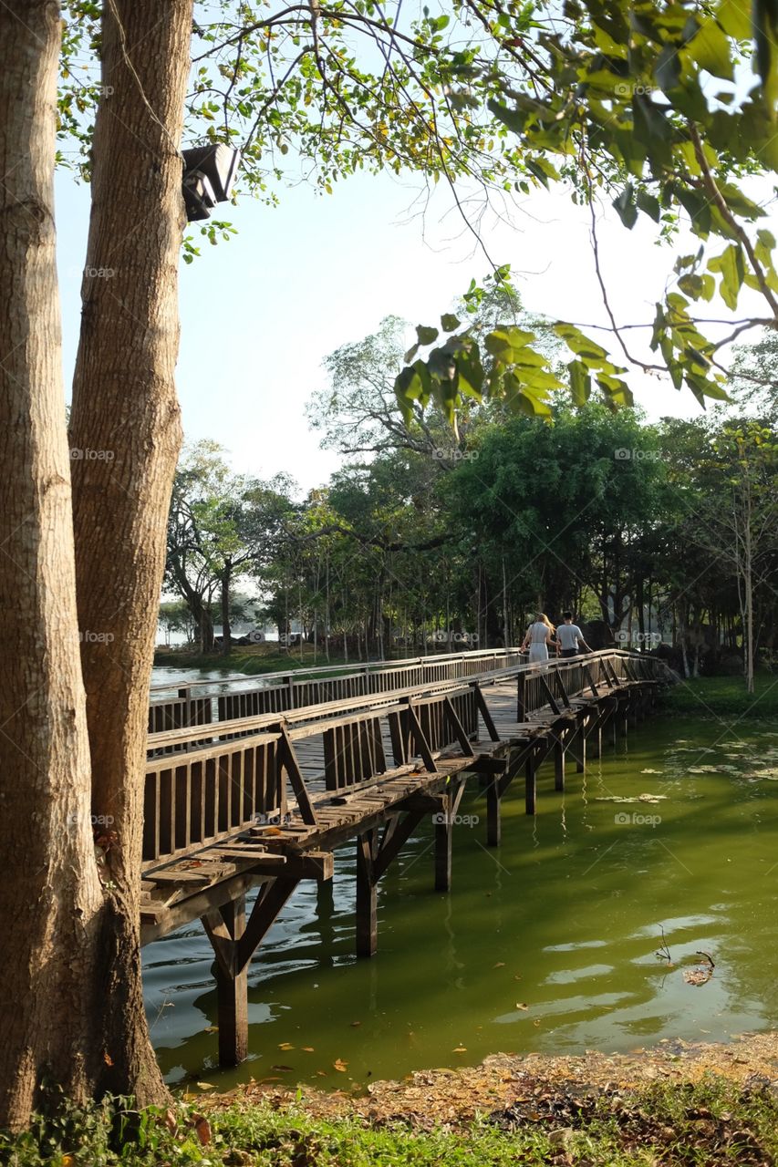 Wooden bridge